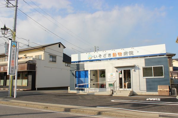 いそざき動物病院_1