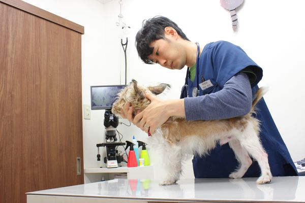 いそざき動物病院_こだわり_2