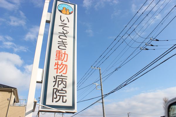 いそざき動物病院_こだわり_1