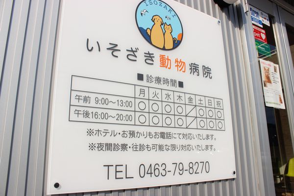 いそざき動物病院_14