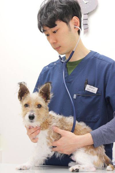 磯崎翔太 / 院長
