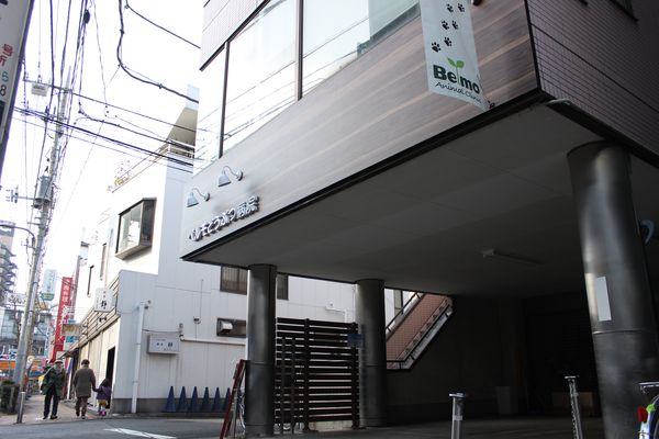 ベルモどうぶつ病院_9