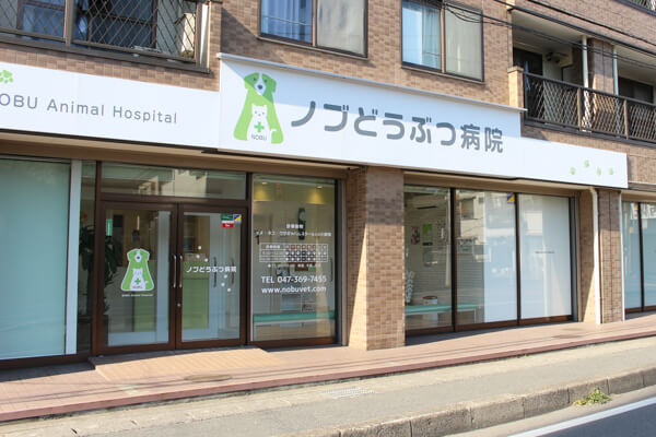 ノブどうぶつ病院_1