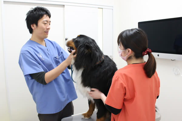 ノブどうぶつ病院_7