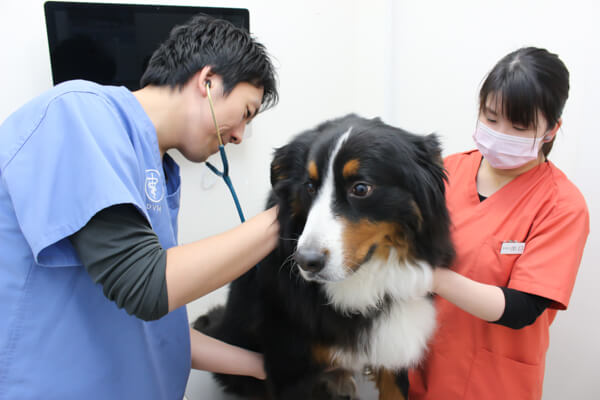 ノブどうぶつ病院_動物病院のこだわり_1