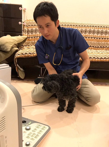 ホームズ動物往診所_5