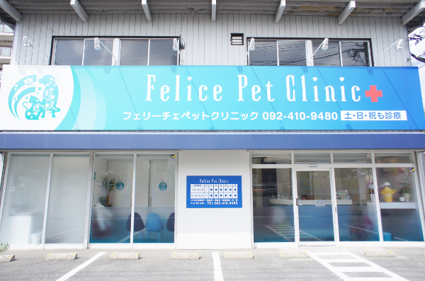 Felice Pet Clinic_15