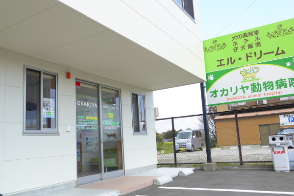 オカリヤ動物病院_6