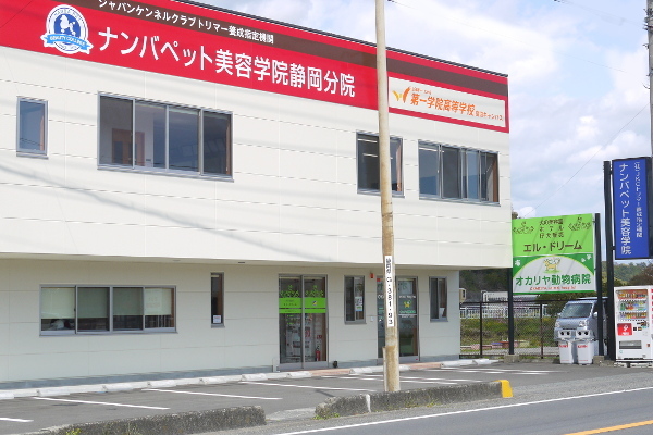 オカリヤ動物病院_8