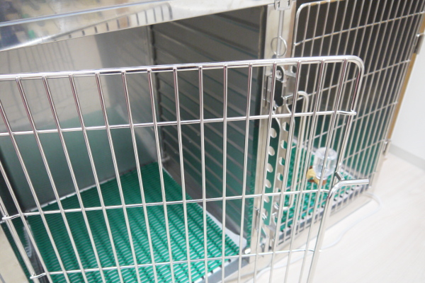 オカリヤ動物病院_11