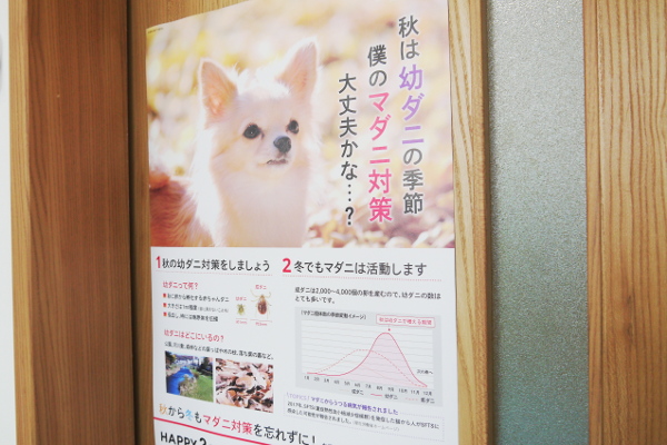 オカリヤ動物病院_12