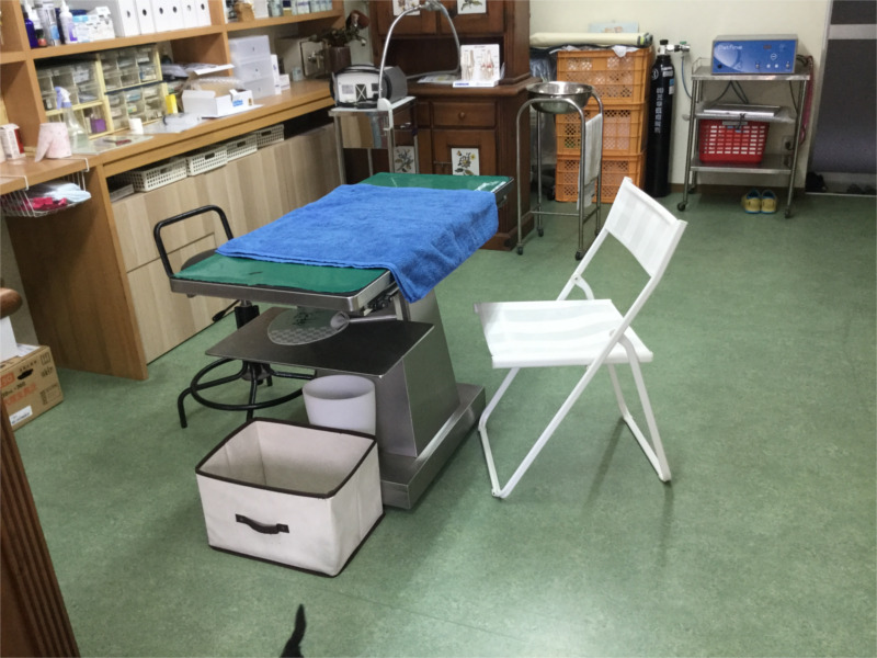 やまびこ動物病院（自然療法専門）_6