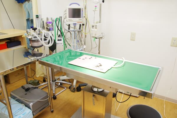 プラチナ通りペットクリニック_15
