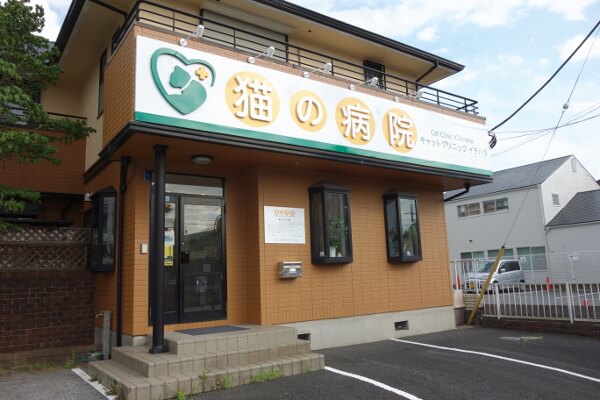 キャットクリニック イチハラ_10
