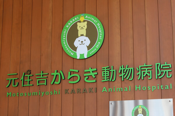 元住吉からき動物病院_16
