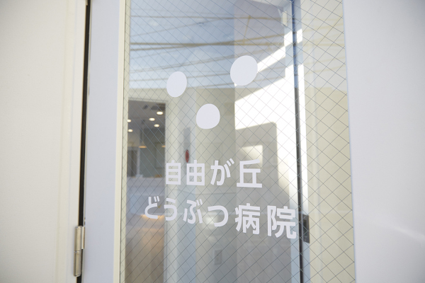 自由が丘どうぶつ病院_7