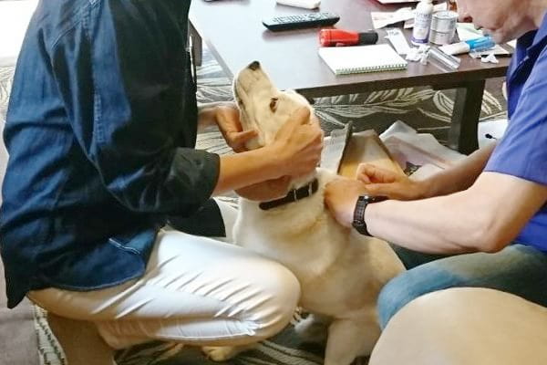 ルーキー動物病院（往診専門）_6