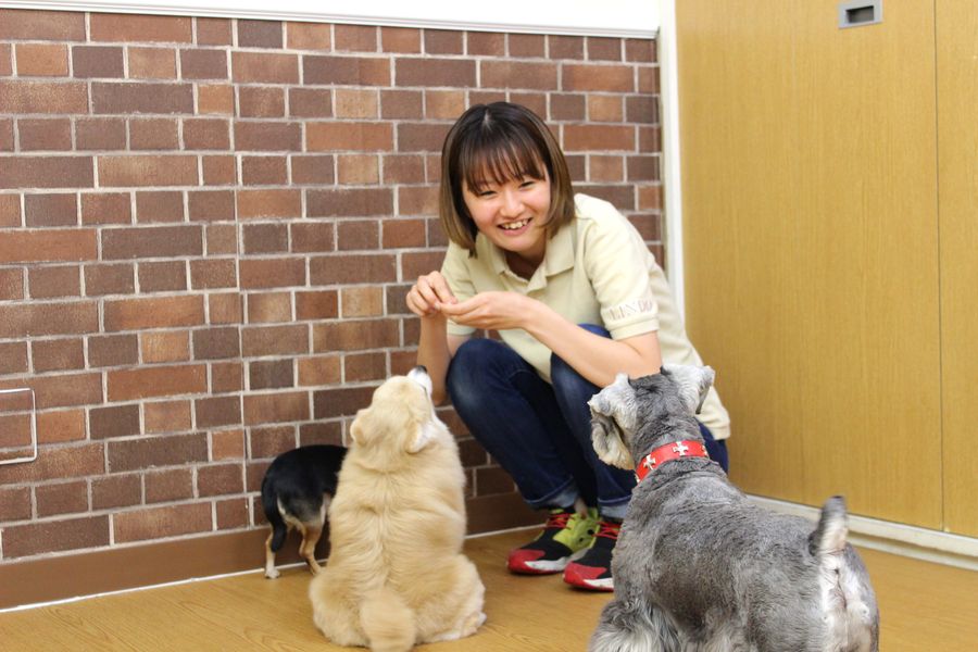代々木公園動物病院＆LINDO代々木_11