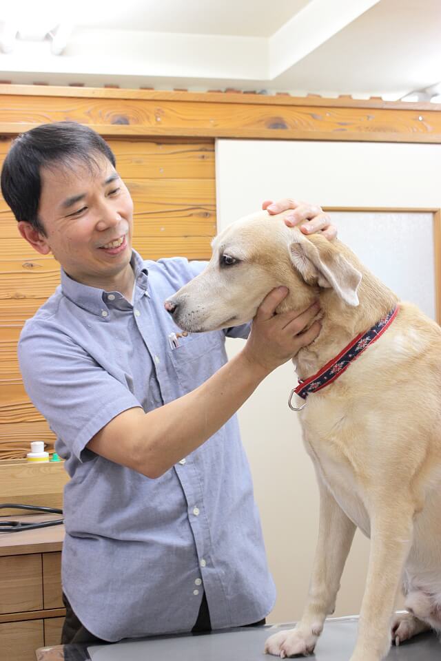 國廣 淳智  /  院長