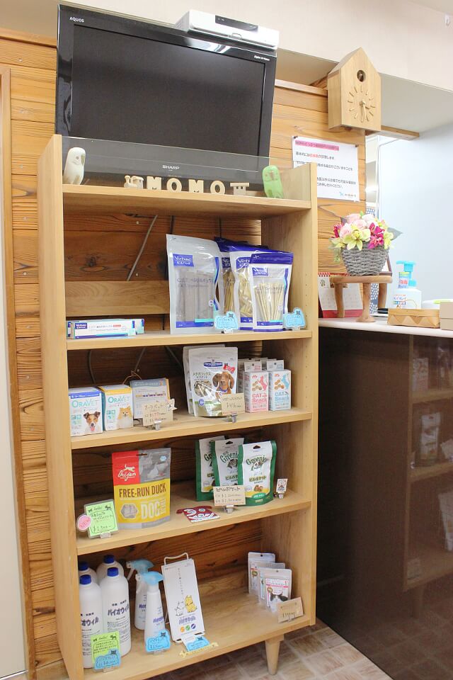MOMOどうぶつ病院_5