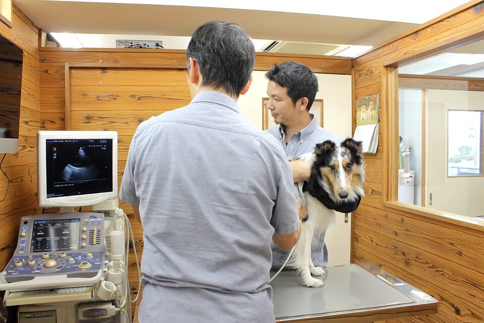 MOMOどうぶつ病院_こだわり_2