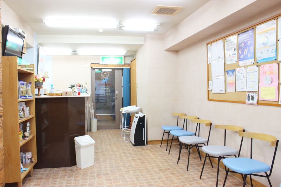 MOMOどうぶつ病院_8