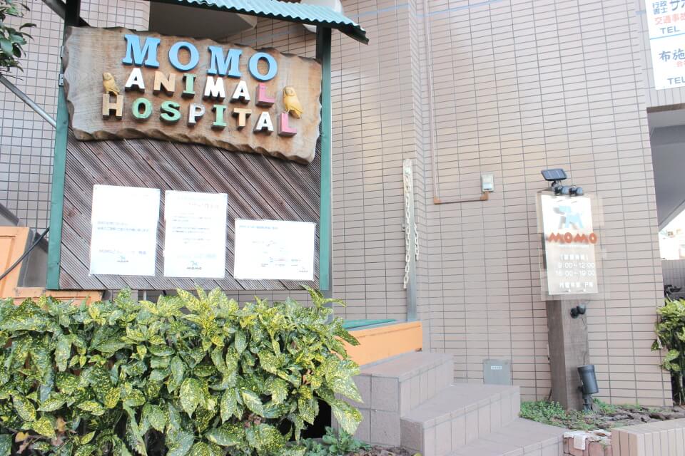 MOMOどうぶつ病院_こだわり_3