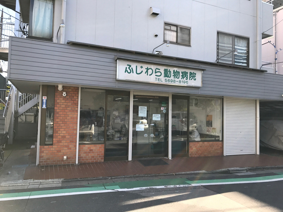 ふじわら動物病院_5