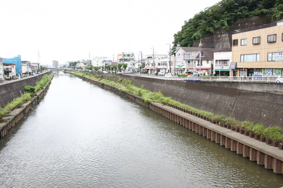 のっぽ動物病院_19