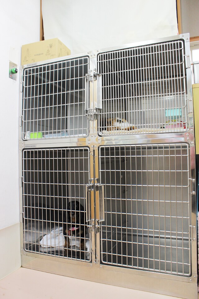 なぎさ動物病院_5