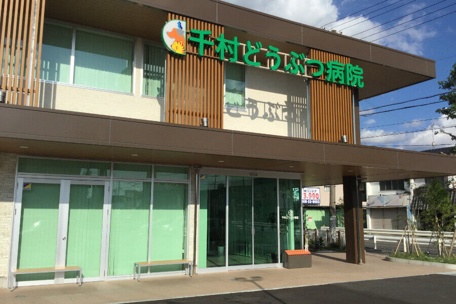 千村どうぶつ病院_7
