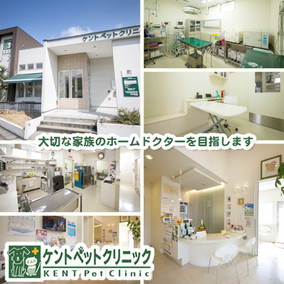 ケントペットクリニック