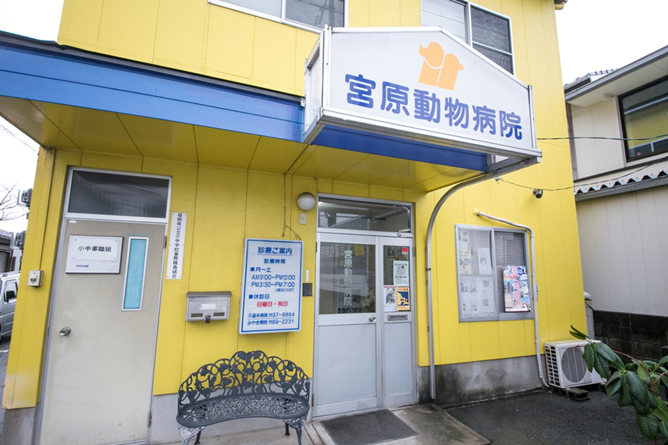 宮原動物病院 久留米院_4