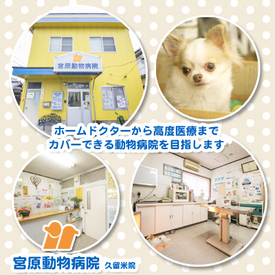 宮原動物病院 久留米院