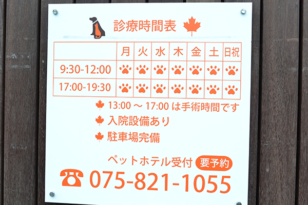 メイプル動物病院_6