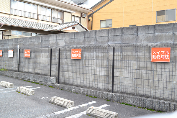 メイプル動物病院_10