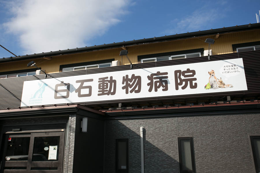 白石動物病院_12
