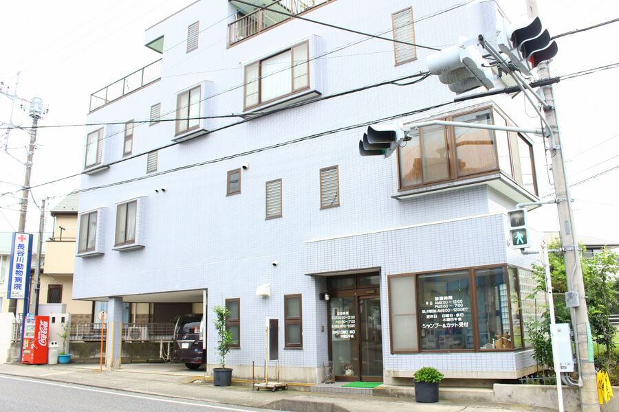 長谷川動物病院_4