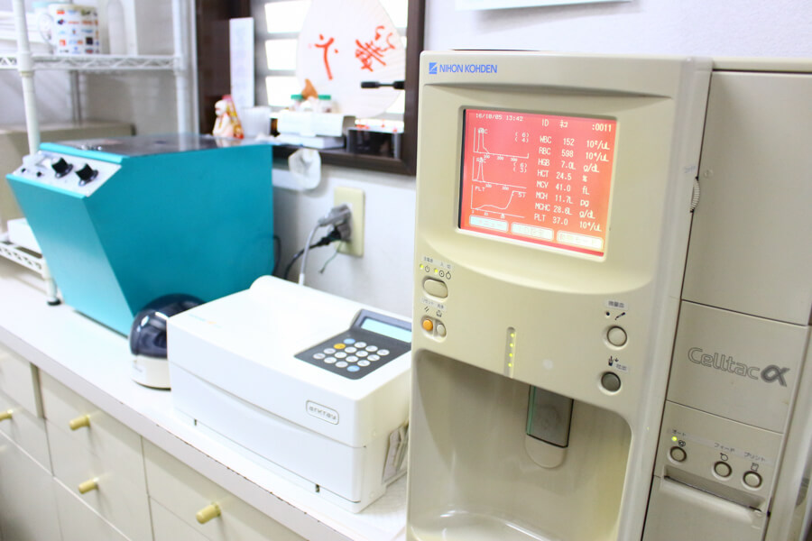 長谷川動物病院_1