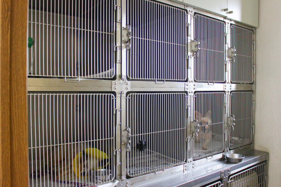 長谷川動物病院_こだわり_3