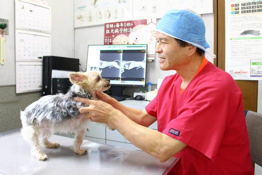 長谷川動物病院_7