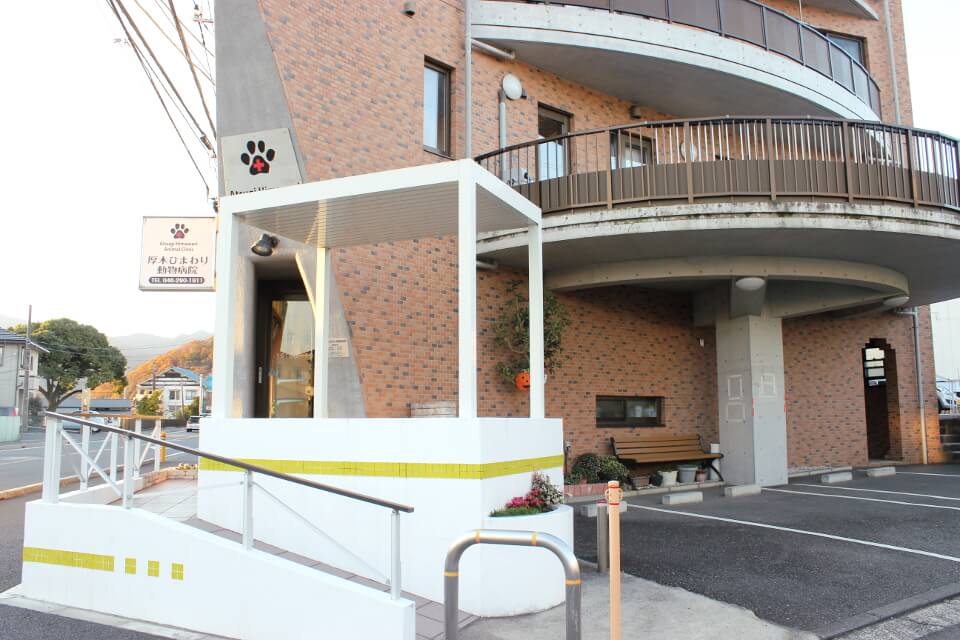 厚木ひまわり動物病院_2