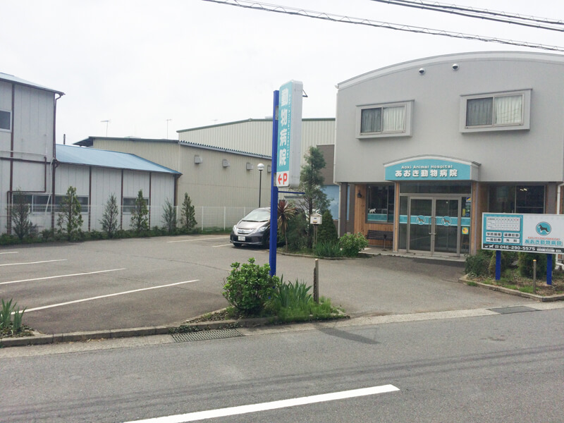 あおき動物病院_12