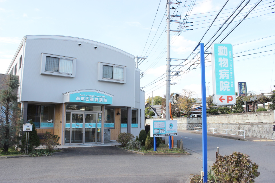 あおき動物病院_13