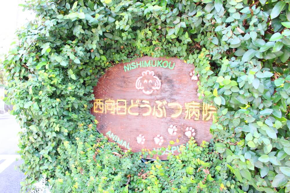 西向日動物病院_9