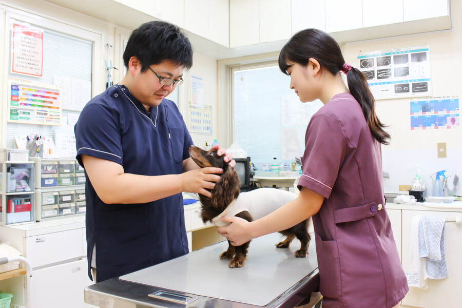 幸手動物病院_こだわり_2