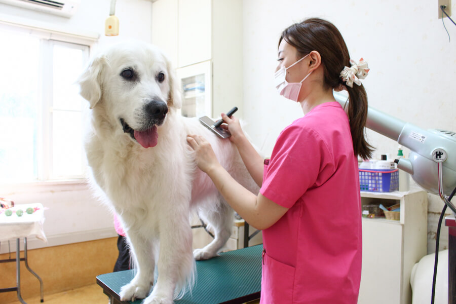 幸手動物病院_こだわり_3