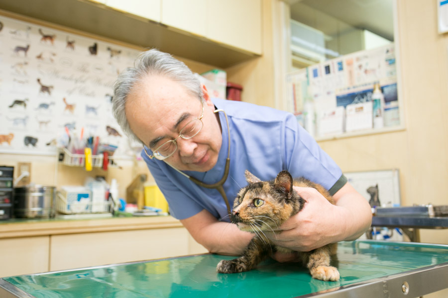 クロス動物病院_こだわり_2