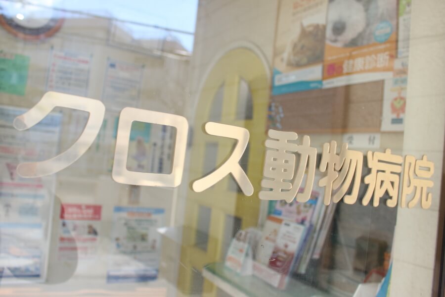 クロス動物病院_7