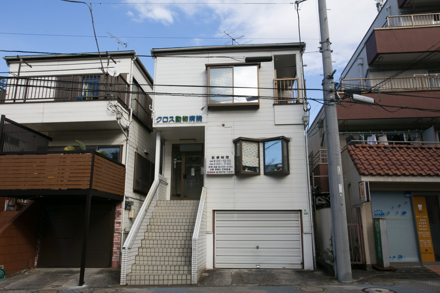 クロス動物病院_9